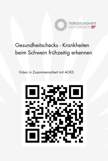 QR-Code zum Video: Tiergesundheit beim Schwein
