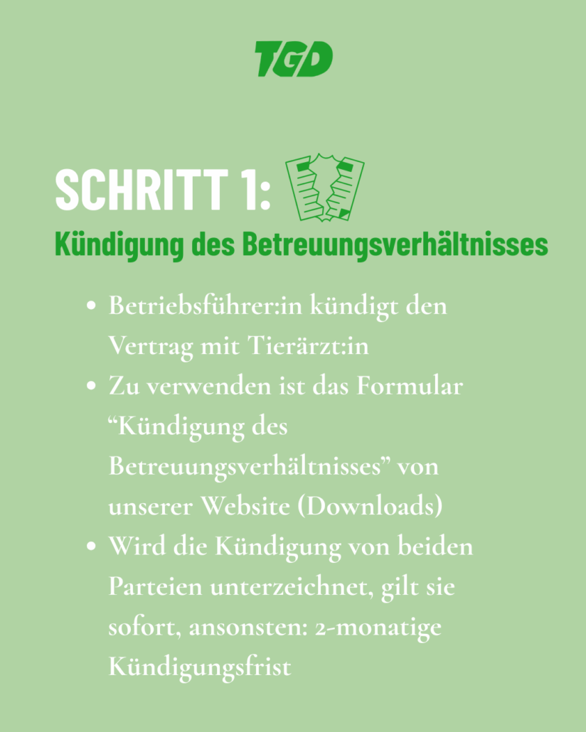 Kündigung des Betreuungsverhältnisses