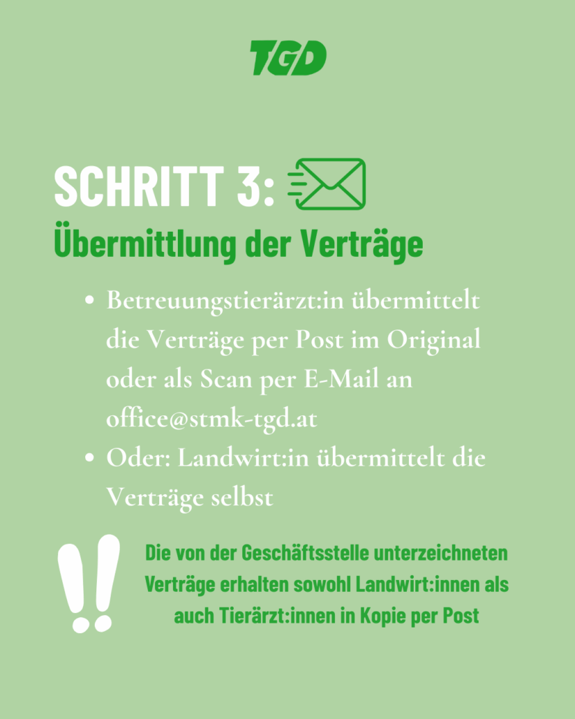 Schritt 3: Übermittlung