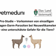 Pro-Studie Titelbild