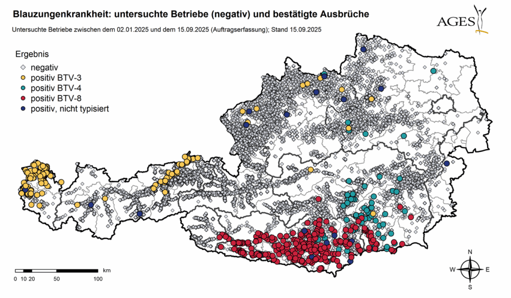 Österreichkarte der aktuellen Fallzahlen der Blauzungenkrankheit