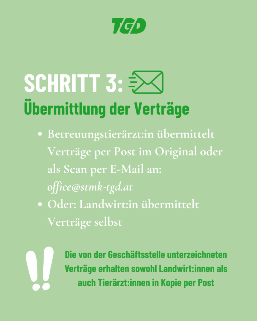Schritt 2