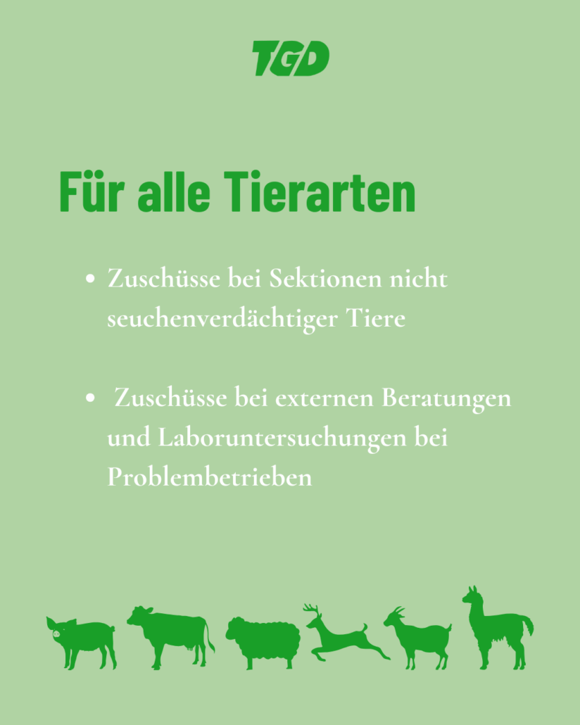 Für alle Tierarten:  Zuschüsse bei Sektionen nicht seuchenverdächtiger Tiere  Zuschüsse bei externen Beratungen und Laboruntersuchungen bei Problembetrieben