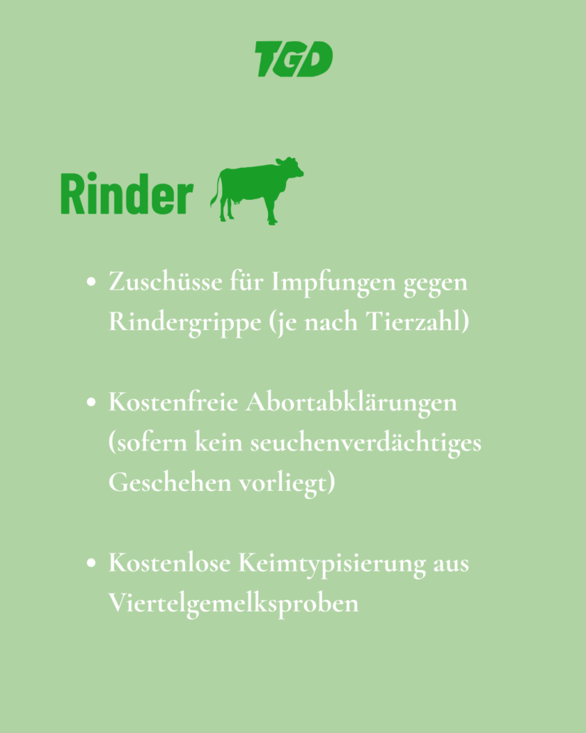 Rinder:  Zuschüsse für Impfungen gegen Rindergrippe (je nach Tierzahl)  Kostenfreie Abortabklärungen (sofern kein seuchenverdächtiges Geschehen vorliegt)  Kostenlose Keimtypisierung aus Viertelgemelksproben