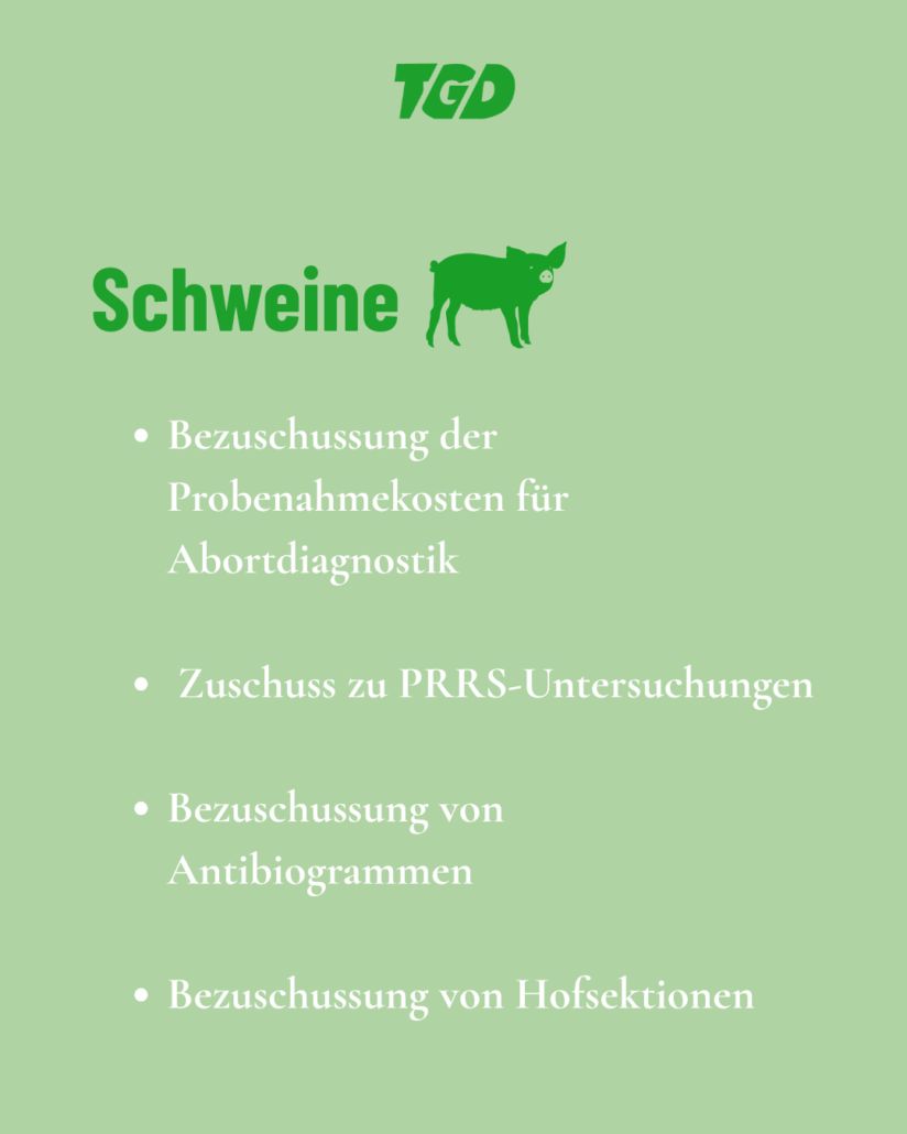 Schweine  Bezuschussung der Probenahmekosten für Abortdiagnostik  Zuschuss zu PRRS-Untersuchungen  Bezuschussung von Antibiogrammen  Bezuschussung von Hofsektionen