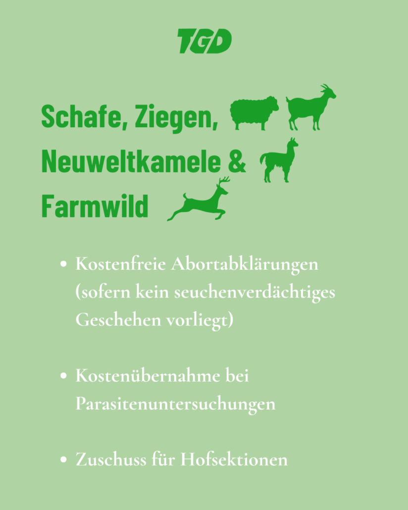 Schafe, Ziegen, Neuweltkamele & Farmwild  Kostenfreie Abortabklärungen (sofern kein seuchenverdächtiges Geschehen vorliegt)  Kostenübernahme bei Parasitenuntersuchungen  Zuschuss für Hofsektionen